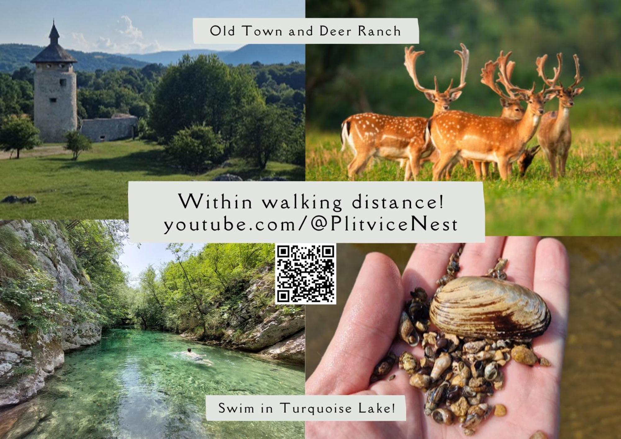 Plitvice Nest 2 Apartment Rakovica Ngoại thất bức ảnh